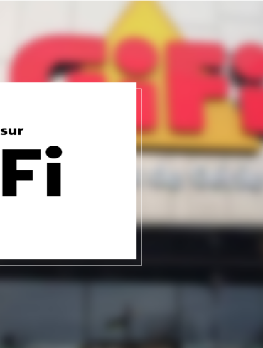 est-ce que gifi est français