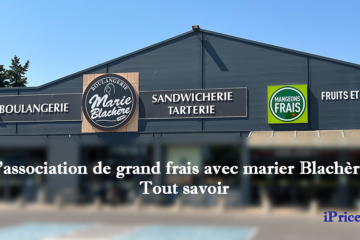 Quel est le chiffre d'affaire de marie blachère