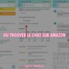 où trouver le chat sur amazon ?