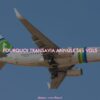 pourquoi transavia annule ses vols ?