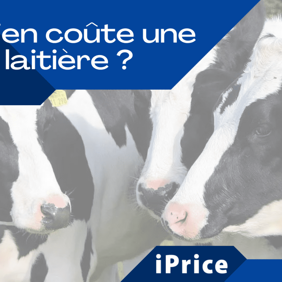 Coute Combien Coûte Une Incinération – DMMJRJ