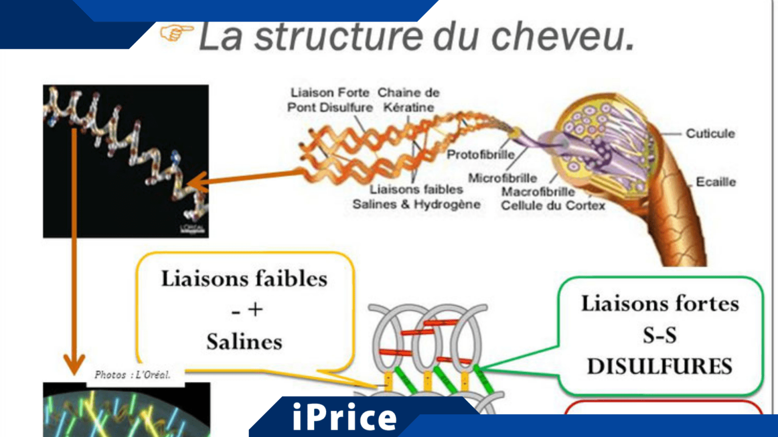 Combien coûte une permanente ? Découvrez les tarifs pour une belle ...
